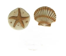 Set of 2 Cement Sea Shell Stepping Stones Hanging Starfish Scallop