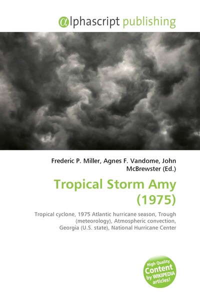 Tropical Storm Amy (1975) Frederic P. Miller (U. A.) Taschenbuch Englisch 2026-image