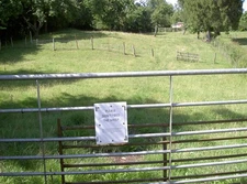 Photo 6x4 Please don't feed the sheep! Woollard The sign refers to vegeta c2017