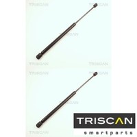 2X Gasfeder FüR Koffer-/Laderaum Triscan 871025202 DäMpfer GasdäMpfer