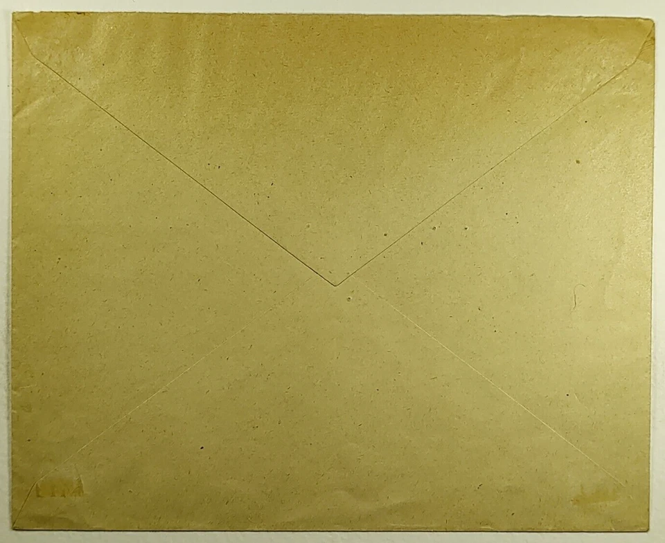 Oslo Noruega 1930 oso polar y estampillas de avión SC #104-105 cubierta de historia postal Foto 2 de 3