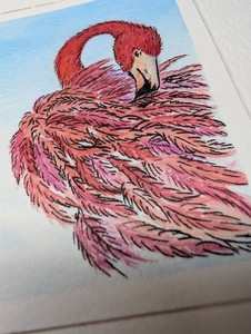 ACEO Original Flamingo Feathers Watercolor Pencil Inkls 2.5x3.5 by Mara Molnar