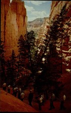 Bryce Canyon National Park Utah tourists 1950s cameras unused vintage postcard