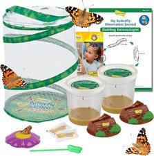 Butterfly Garden with 10 Live Baby Caterpillars - Habitat, Feeder, Chrys-A-Lid H