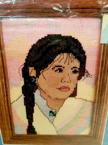 Kit punto de cruz contado “Indian Girl” 5011 Candamar 5 x 7 - Imagen 2 de 3