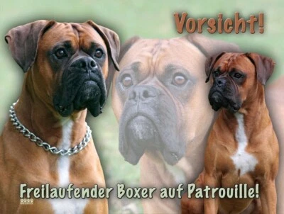 DEUTSCHER BOXER Hundewarnschild Metall SCHILD Alu-Dibond Hundeschild NEU #2 - Bild 1 von 3