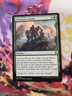 MTG - Adventure Awaits - ZNR - 177/280