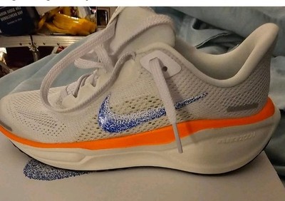 Nike Air Pegasus 41 Blue Print Prototype White HF7362-900 Women 7.5  New