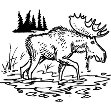 'Walking Moose' Unmounted Rubber Stamp (RS022941)