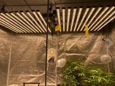 Phlizon 800W LED Grow Light Samsung561c Full Spectrum fr Indoor Commercial Lamp 