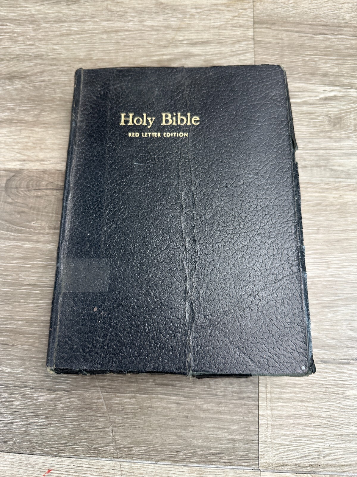 Holy Bible Dictionary King James Version World Red Letter Edition Black Cover