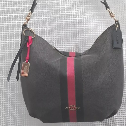 Coach Skylar Varsity Stripe Grey Pink Dempsey Shoulder Purse Madison Lucky Hobo - 第 2/24 張圖片