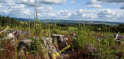 Foto 12x8 Fälle die Bäume und du bekommst die Aussicht Walker Fold\/SD6741 c2014
