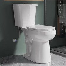 21 in Tall round Toilet White 2-Piece Dual Flush 1.1/1.6 GPF with Comfort Height