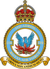 LVII 57 Squadron RAF badge patch Self Adhesive Vinyl Sticker
