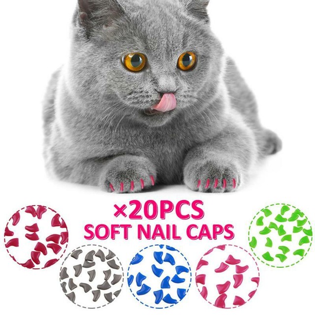 soft nail caps for cats