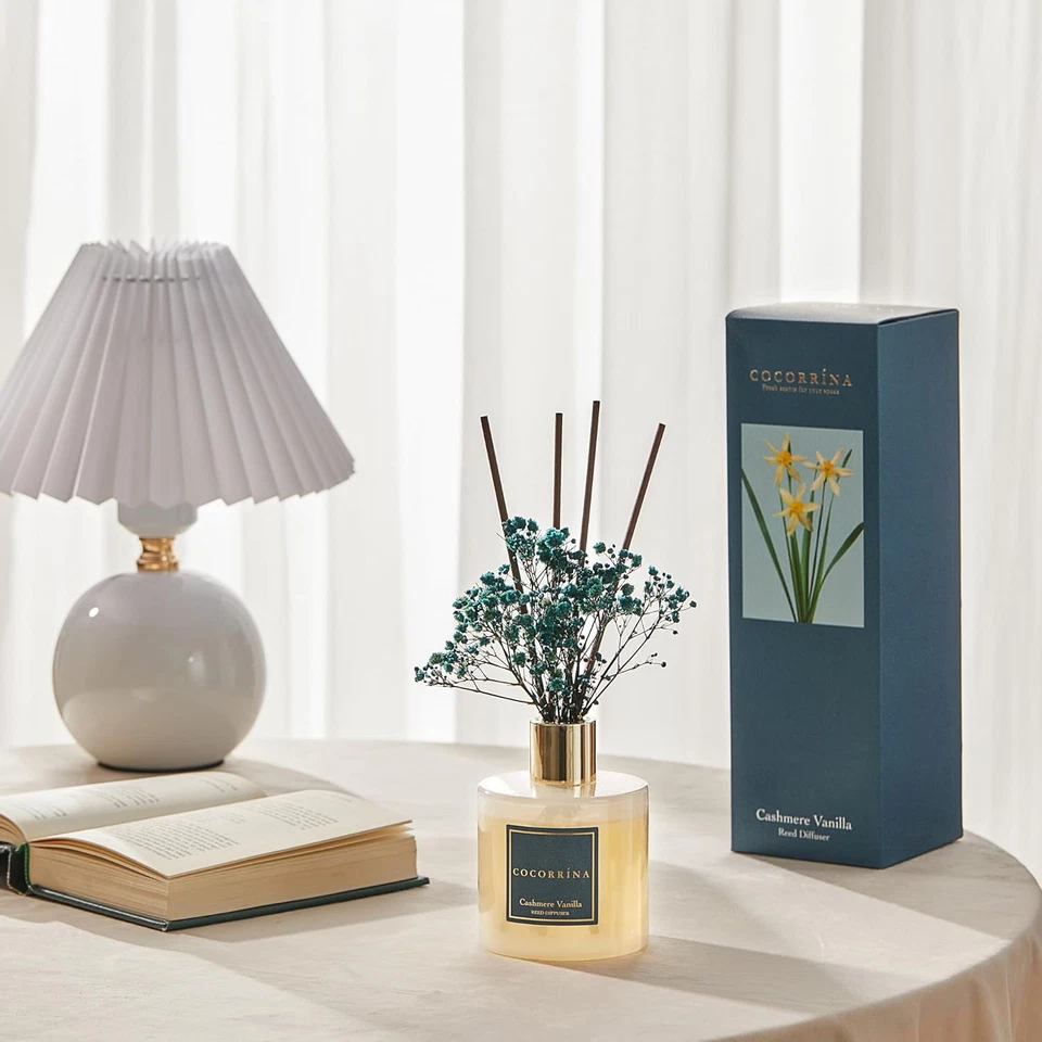 Premium Reed Diffuser Set with Preserved Baby'S Breath & Cotton Stick Cashmere V - Image 3 of 4