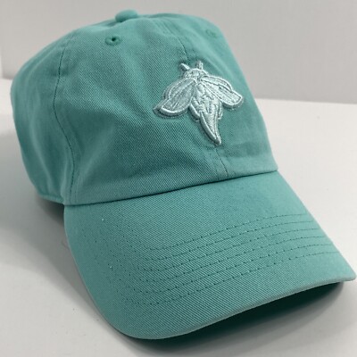 Columbia Fireflies Minor League Baseball Hat Adjustable  47 Women s Light Blue