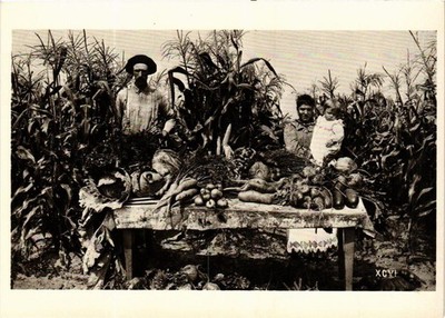 CPM A23 Menomonee River Co. Garden 1895 W.A. HENRY (d1053)
