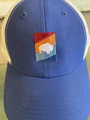 Gorra de camionero retro bordada inspirada en búfalo y rayas ropa imperial - Imagen 2 de 7