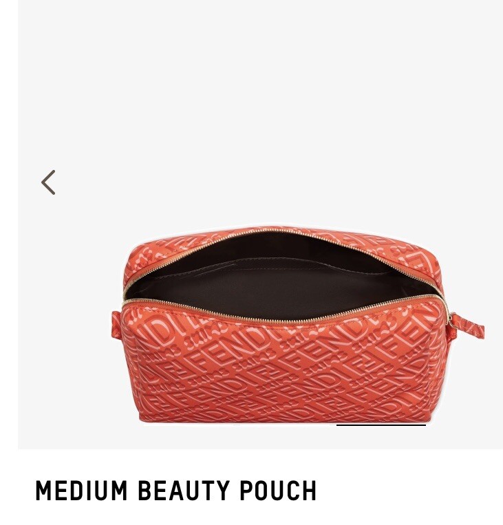 FENDI x SKIMS Medium Beauty Pouch Purse | Georgia SOLD OUT