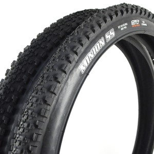 minion ss 27.5