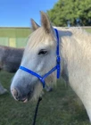 BIOTHANE DRIVING UNDER HALTER, UNDERHALTER SHETLAND PONY COB FULL *FREE POST*