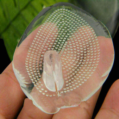 2*RO Sandal Flip flop Toe Post Gel Cushion Separator Protectorz Spreader Ne N9Y3