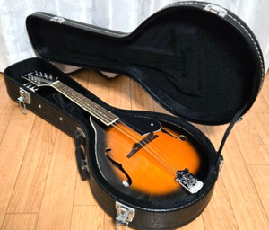 Aria Mandolin | eBay Aria Mandolin | eBay