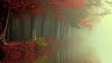 Landscape nature fall forest mist river trees red leaves Custom Gaming Mat Desk