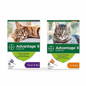 advantage small cat 6 pack