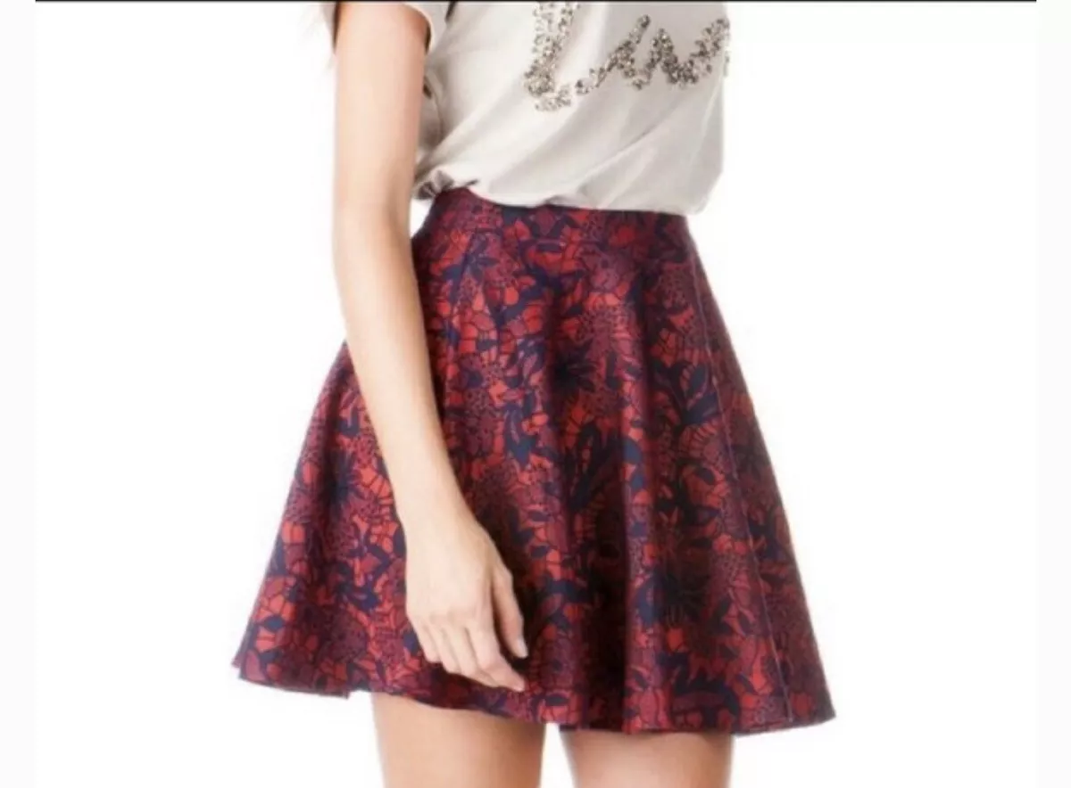 Embroidered top flared skirt