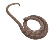 53" Rubber Snake Realistic Fake Snakes Toy for Fool's Day Pranks Halloween B...