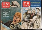 TV Guide lot of 18 1965 various regions  — photo 7