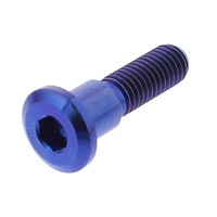 Bremsscheibenschraube Hinten M8X1.25 33Mm Titan Blau FüR Suzuki GSX-R 600 97-05