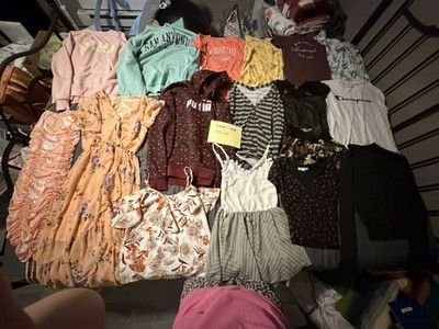 PUMA Champion Nike Women's Small Clothing Lot Tops Dresses Shorts Multicolor