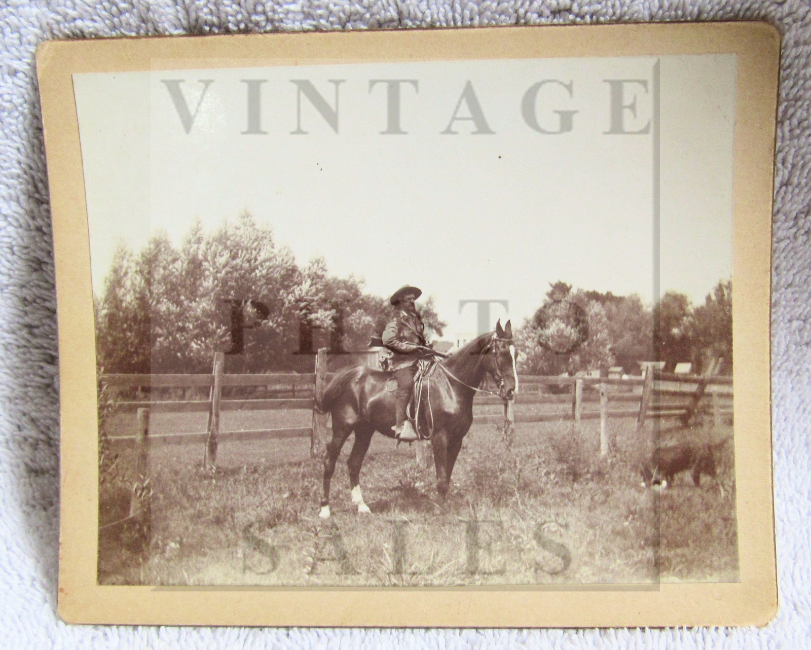 Old Indian Wars Western Army Scout Buffalo Hunter Cabinet Card Photo Photograph