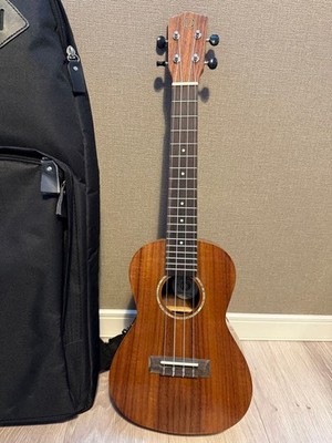 DCT 4 string ukulele
