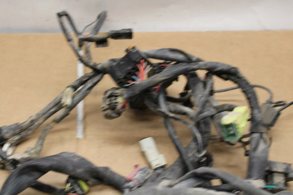 ARNÉS DE CABLEADO MOTOR PRINCIPAL HARLEY-DAVIDSON STREET 500 14-20 BB381 Foto 3 de 4