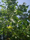 Bild 9 von 9