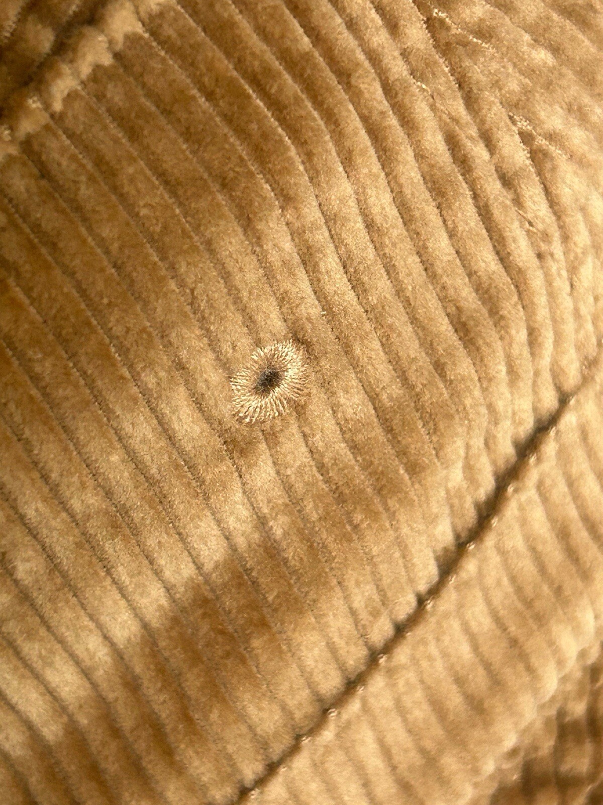 Picture 14 of 19