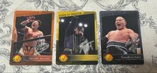 New Japan Pro Wrestling Wafer Taichi Tomohiro Ishii Satoshi Kojima