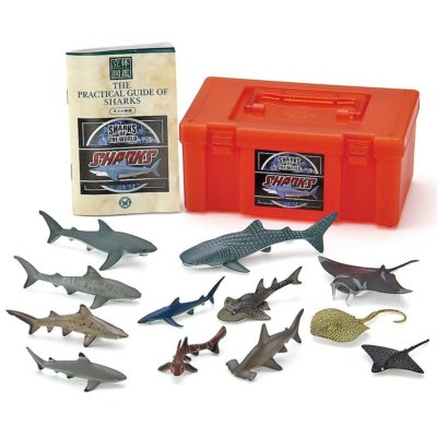 Colorata 3D Real Figure Box Sharks of the World Action Figure from