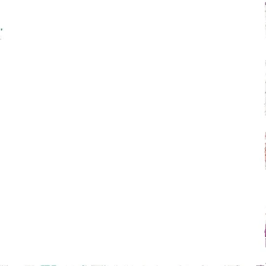 Lecien White Floral Craft Fabrics