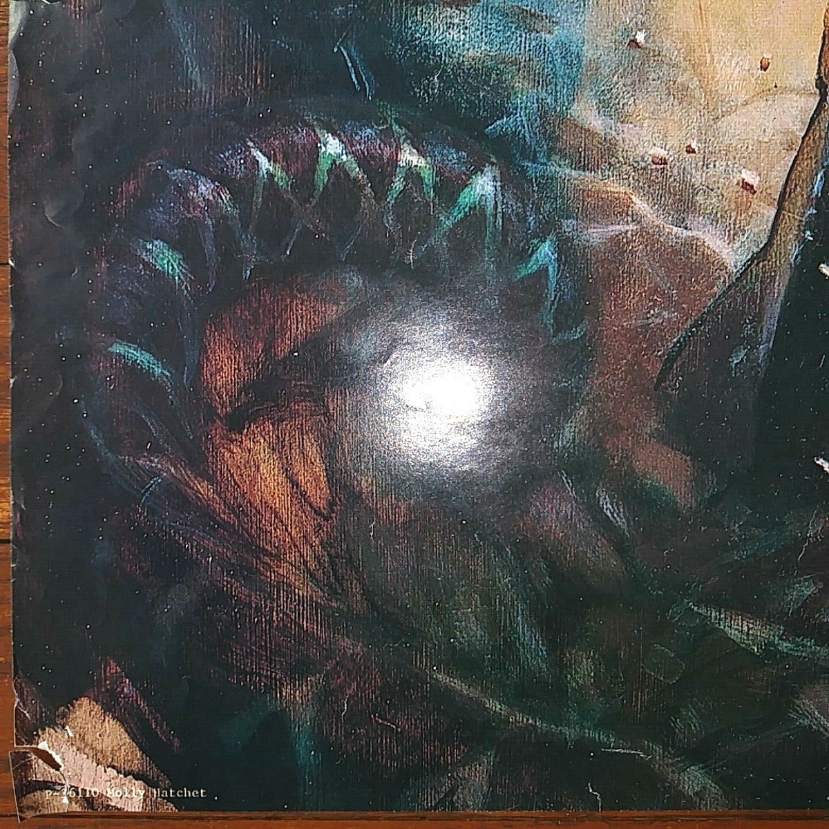 FRAZETTA FLIRTIN' WITH DISASTER MOLLY HATCHET 2X2 1979 ALBUM COVER