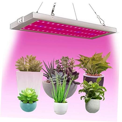 300W 54 LED Grow Lights, Full Spectrum Little Solid Grow Lam