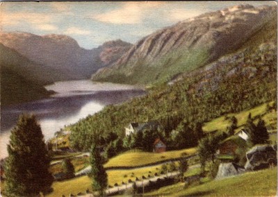 Norway Postcard   Røldal   Lake & Mountain View   Mittet   Vintage