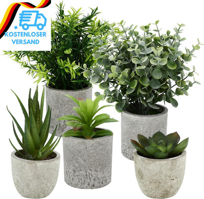 5 Stück Kunstpflanze, Mini Künstliche Pflanzen Schlangenzunge, Agave Sukkulente,
