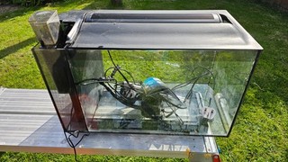 Used fluval marine fish tank 52 ltr