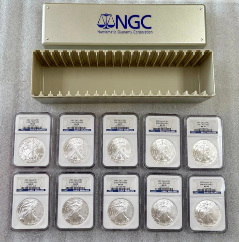 Investor Lot of (10) 2007 MS70 Silver Eagles - Under Wholesale Bid + NGC BOX